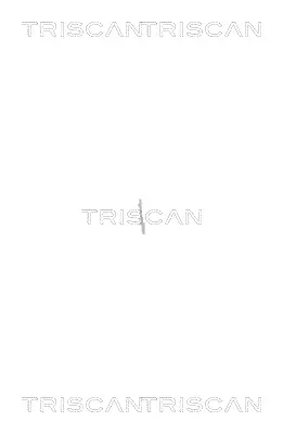 Radlagersatz TRISCAN 8530 82002 Bild Radlagersatz TRISCAN 8530 82002