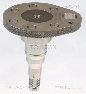 Radnabe Hinterachse TRISCAN 8535 29016 Bild Radnabe Hinterachse TRISCAN 8535 29016