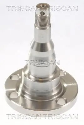 Radnabe Hinterachse TRISCAN 8535 29021 Bild Radnabe Hinterachse TRISCAN 8535 29021