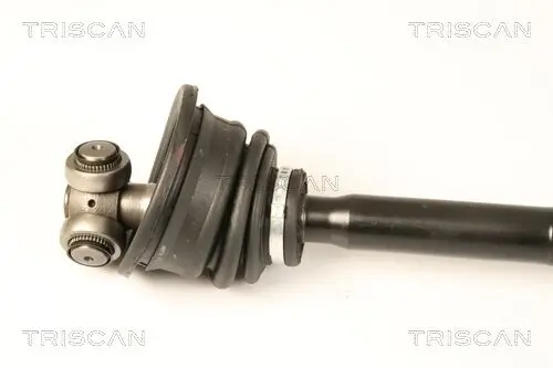 Antriebswelle TRISCAN 8540 25660 Bild Antriebswelle TRISCAN 8540 25660