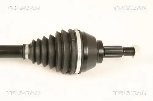 Antriebswelle TRISCAN 8540 25660 Bild Antriebswelle TRISCAN 8540 25660