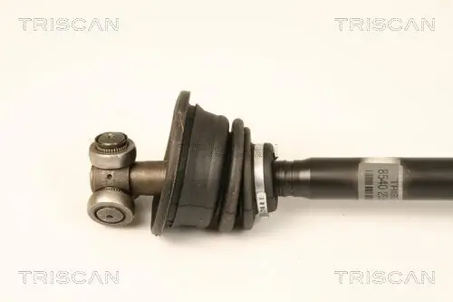 Antriebswelle TRISCAN 8540 25665 Bild Antriebswelle TRISCAN 8540 25665