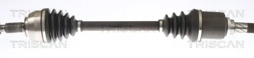 Antriebswelle TRISCAN 8540 25704