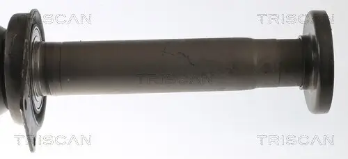 Antriebswelle TRISCAN 8540 295061 Bild Antriebswelle TRISCAN 8540 295061