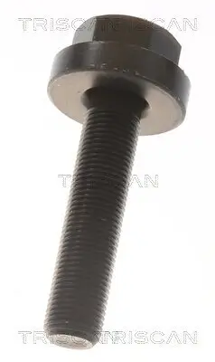 Antriebswelle TRISCAN 8540 295065 Bild Antriebswelle TRISCAN 8540 295065