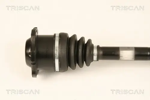 Antriebswelle TRISCAN 8540 29655 Bild Antriebswelle TRISCAN 8540 29655