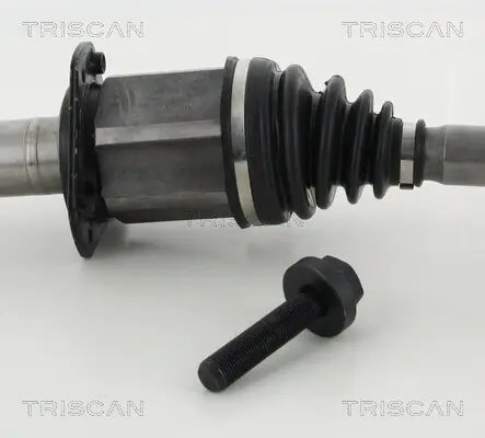 Antriebswelle TRISCAN 8540 29689 Bild Antriebswelle TRISCAN 8540 29689