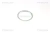 Sensorring, ABS TRISCAN 8540 42402 Bild Sensorring, ABS TRISCAN 8540 42402