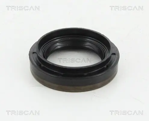Wellendichtring, Differential TRISCAN 8550 10035