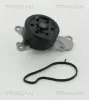 Wasserpumpe, Motorkühlung TRISCAN 8600 10039