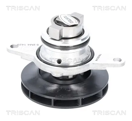 Wasserpumpe, Motorkühlung TRISCAN 8600 10093 Bild Wasserpumpe, Motorkühlung TRISCAN 8600 10093