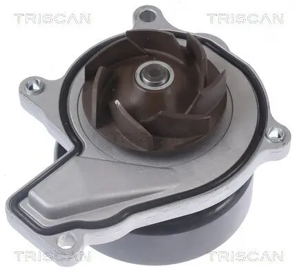 Wasserpumpe, Motorkühlung TRISCAN 8600 11050 Bild Wasserpumpe, Motorkühlung TRISCAN 8600 11050