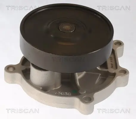 Wasserpumpe, Motorkühlung TRISCAN 8600 11062 Bild Wasserpumpe, Motorkühlung TRISCAN 8600 11062
