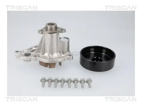 Wasserpumpe, Motorkühlung TRISCAN 8600 11073