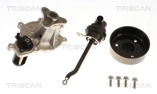 Wasserpumpe, Motorkühlung TRISCAN 8600 11074