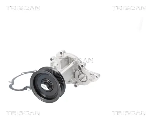 Wasserpumpe, Motorkühlung TRISCAN 8600 12002 Bild Wasserpumpe, Motorkühlung TRISCAN 8600 12002