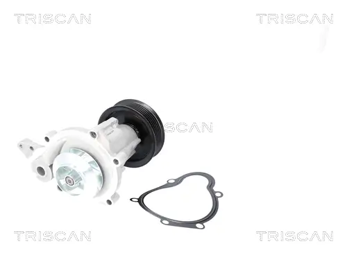 Wasserpumpe, Motorkühlung TRISCAN 8600 12002 Bild Wasserpumpe, Motorkühlung TRISCAN 8600 12002