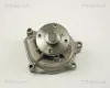 Wasserpumpe, Motork&uuml;hlung TRISCAN 8600 13013