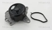 Wasserpumpe, Motorkühlung TRISCAN 8600 13041