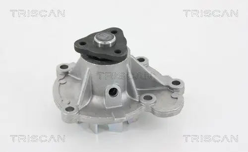 Wasserpumpe, Motorkühlung TRISCAN 8600 14003