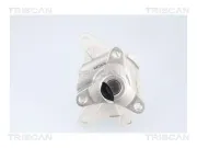 Wasserpumpe, Motorkühlung TRISCAN 8600 14023