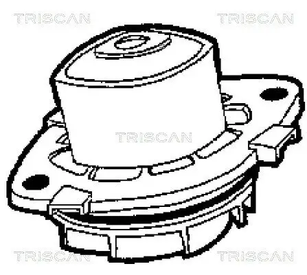 Wasserpumpe, Motorkühlung TRISCAN 8600 15013 Bild Wasserpumpe, Motorkühlung TRISCAN 8600 15013