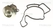 Wasserpumpe, Motorkühlung TRISCAN 8600 15041
