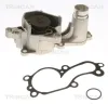 Wasserpumpe, Motorkühlung TRISCAN 8600 16079 Bild Wasserpumpe, Motorkühlung TRISCAN 8600 16079