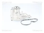 Wasserpumpe, Motorkühlung TRISCAN 8600 16080
