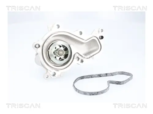 Wasserpumpe, Motorkühlung TRISCAN 8600 16080 Bild Wasserpumpe, Motorkühlung TRISCAN 8600 16080