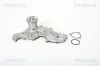 Wasserpumpe, Motorkühlung TRISCAN 8600 16867 Bild Wasserpumpe, Motorkühlung TRISCAN 8600 16867