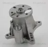 Wasserpumpe, Motorkühlung TRISCAN 8600 17013