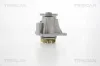 Wasserpumpe, Motorkühlung TRISCAN 8600 17014