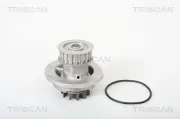 Wasserpumpe, Motorkühlung TRISCAN 8600 21001