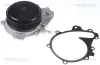 Wasserpumpe, Motorkühlung TRISCAN 8600 23079 Bild Wasserpumpe, Motorkühlung TRISCAN 8600 23079