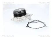 Wasserpumpe, Motorkühlung TRISCAN 8600 23107