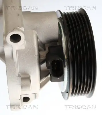 Wasserpumpe, Motorkühlung TRISCAN 8600 24062 Bild Wasserpumpe, Motorkühlung TRISCAN 8600 24062