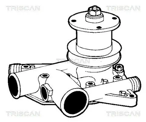 Wasserpumpe, Motorkühlung TRISCAN 8600 25080 Bild Wasserpumpe, Motorkühlung TRISCAN 8600 25080