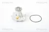Wasserpumpe, Motorkühlung TRISCAN 8600 29006 Bild Wasserpumpe, Motorkühlung TRISCAN 8600 29006