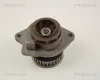 Wasserpumpe, Motork&uuml;hlung TRISCAN 8600 29018
