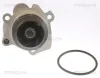 Wasserpumpe, Motorkühlung TRISCAN 8600 29041 Bild Wasserpumpe, Motorkühlung TRISCAN 8600 29041