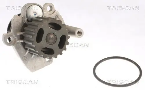 Wasserpumpe, Motorkühlung TRISCAN 8600 29041 Bild Wasserpumpe, Motorkühlung TRISCAN 8600 29041