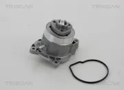 Wasserpumpe, Motorkühlung TRISCAN 8600 29056