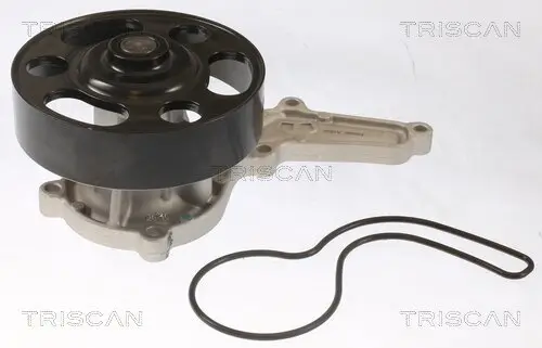 Wasserpumpe, Motorkühlung TRISCAN 8600 40019