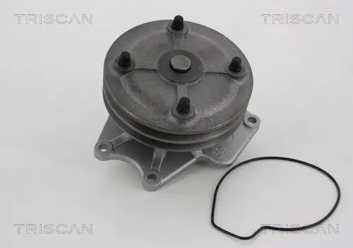 Wasserpumpe, Motorkühlung TRISCAN 8600 42018