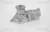 Wasserpumpe, Motorkühlung TRISCAN 8600 42019 Bild Wasserpumpe, Motorkühlung TRISCAN 8600 42019