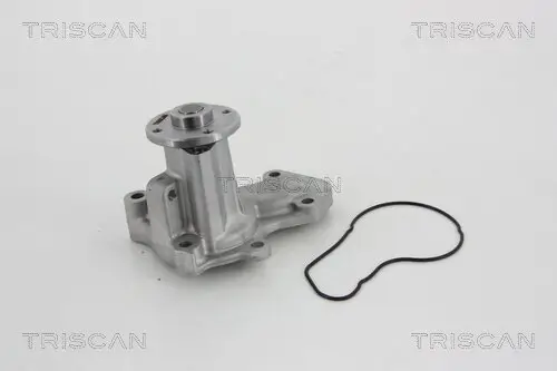 Wasserpumpe, Motorkühlung TRISCAN 8600 42020