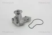 Wasserpumpe, Motorkühlung TRISCAN 8600 42020