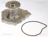 Wasserpumpe, Motorkühlung TRISCAN 8600 42022