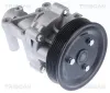 Wasserpumpe, Motorkühlung TRISCAN 8600 43023 Bild Wasserpumpe, Motorkühlung TRISCAN 8600 43023